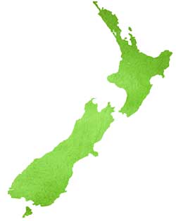 Working holiday visa new zealand coronavirus Working holiday visa new zealand coronavirus